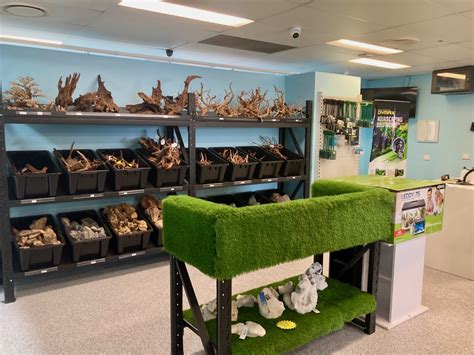wicked aquariums lawnton|The Online Aquarium Shop .